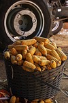 corn, harvest, grains