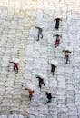 Workers Moving Rice Bags in Warehouse Aerial View